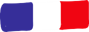 drapeau français - 100% made in France